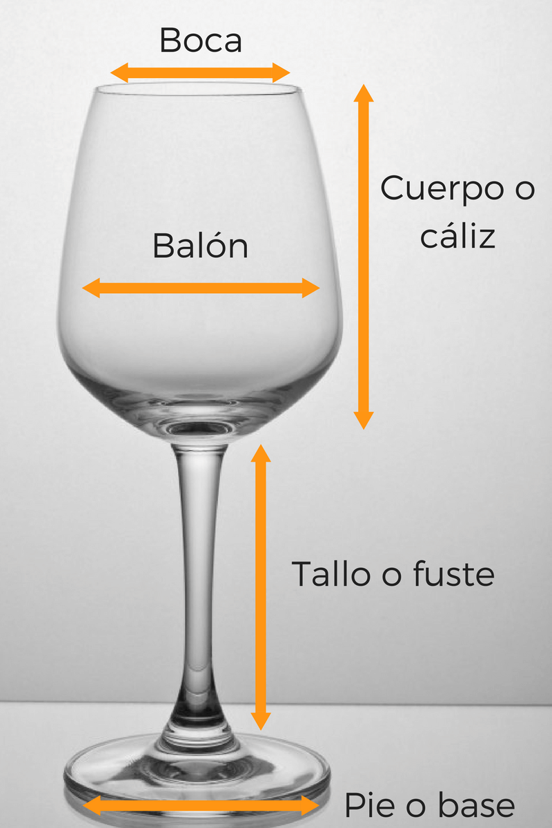 Curso cata de vino