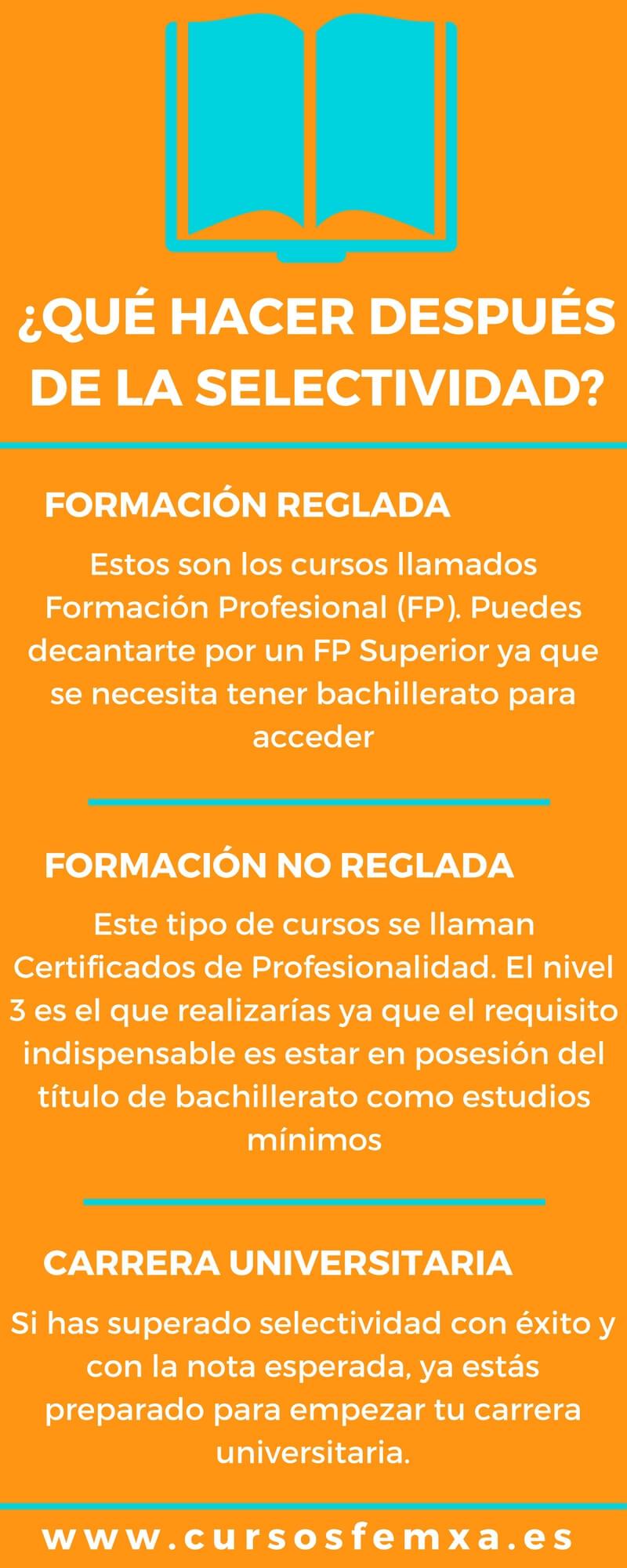 Infografía estudiar después de selectividad