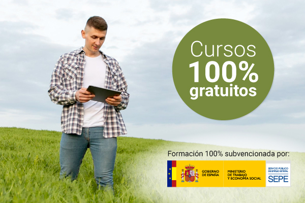 cursos gratuitos