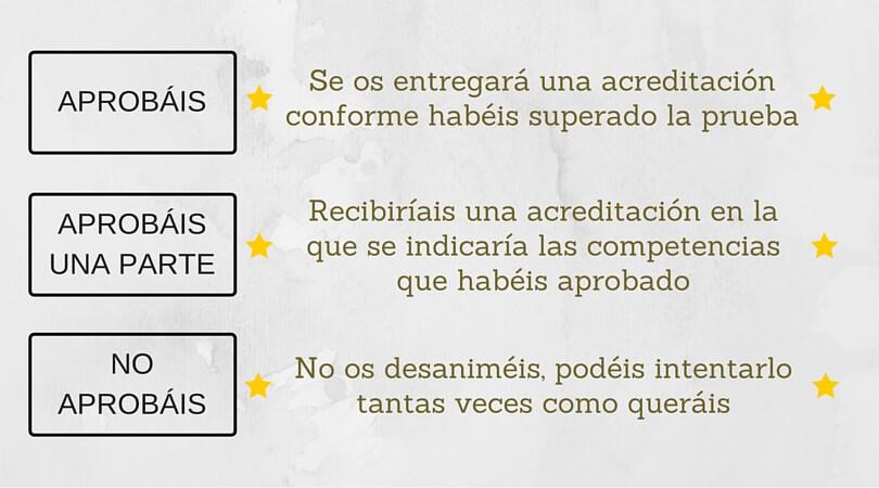 ¿Qué son las Competencias Clave?
