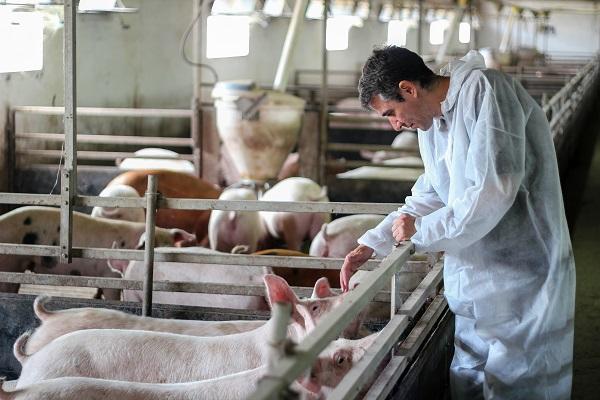 empleado del sector agrario atendiendo una granja