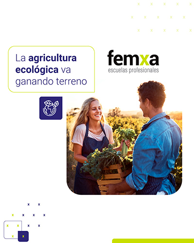 cartel anunciador del curso de femxa sobre agricultura ecológica, en el que se ve a chico y chica cosechando con una caja de madera