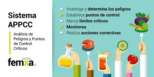 Infografía que explica los principios del sistema APPCC