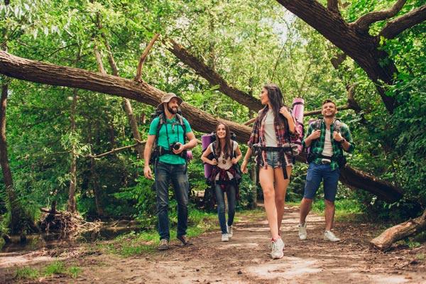 grupo de ecoturistas recorriendo un bosque