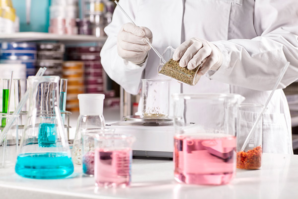 manos con guantes de un técnico de farmacia elaborando una formulación magistral en un laboratorio farmacéutico con una balanza y un matraz con semillas de hinojo