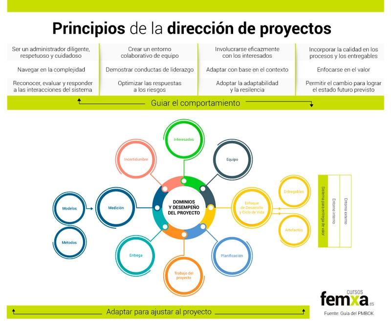 Infografía sobre los principios de la dirección de proyectos