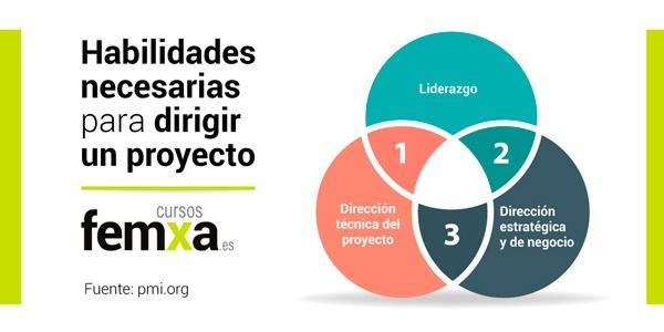 habilidades necesarias para dirigir un proyecto