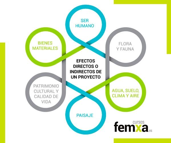 efectos de un proyecto sobre el medio ambiente