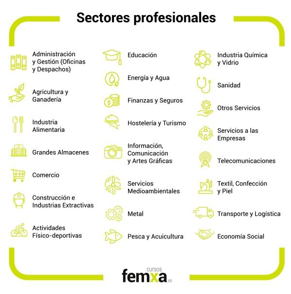 listado de sectores profesional