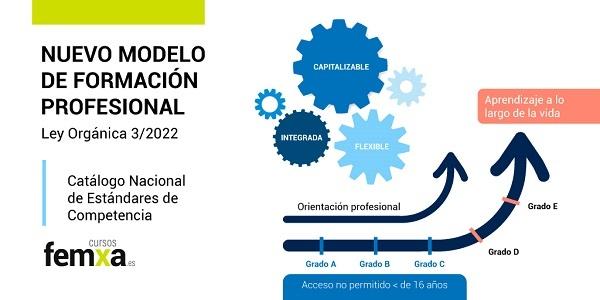 Nuevo modelo de formación profesional según la ley 3/2022