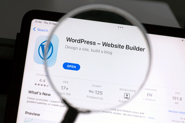 Lupa que enseña un aplicativo de wordpress, uno de los programas para webs que usa php