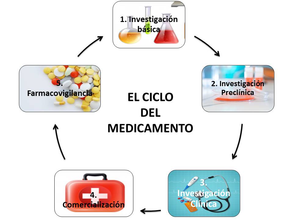 el ciclo del departamento, fase 5 farmacovigilancia