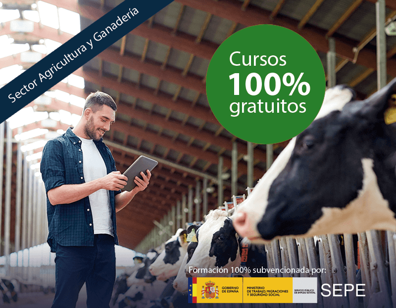 Cursos online gratuitos para trabajadores de la Industria Química