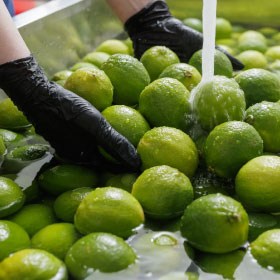 Cursos gratuitos de Manipulación de Alimentos para trabajadores, autónomos y desempleados