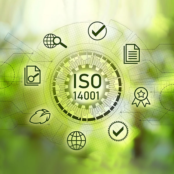 Fundamentos del sistema de gestión de calidad medio ambiental. UNE-EN-ISO-14001  - Servef