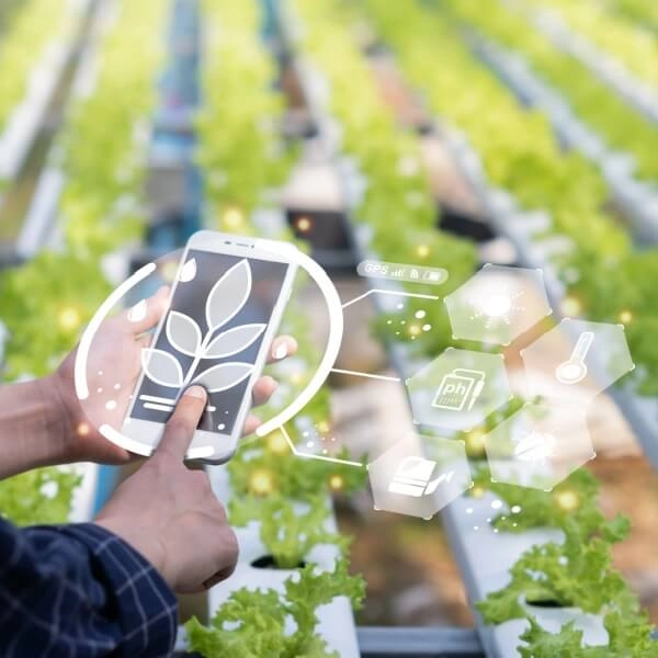 Curso online y gratuito de agricultura ecológica en la explotación agrícola