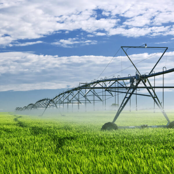 Uso eficiente del agua en el sector agrario