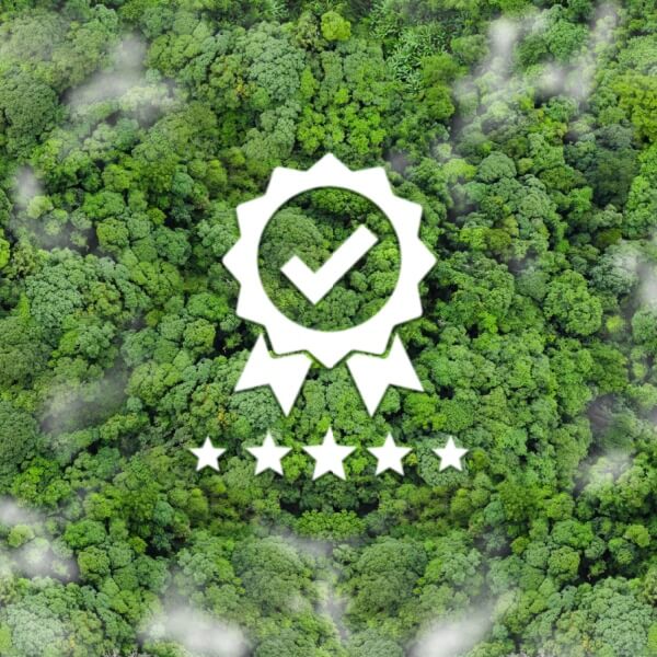 Curso online y gratuito de Auditoría medioambiental  -  Labora