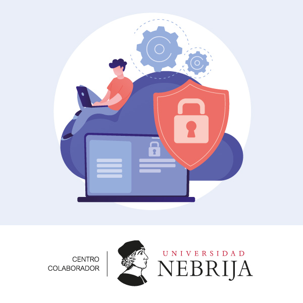 Curso online de ciberseguridad en la empresa