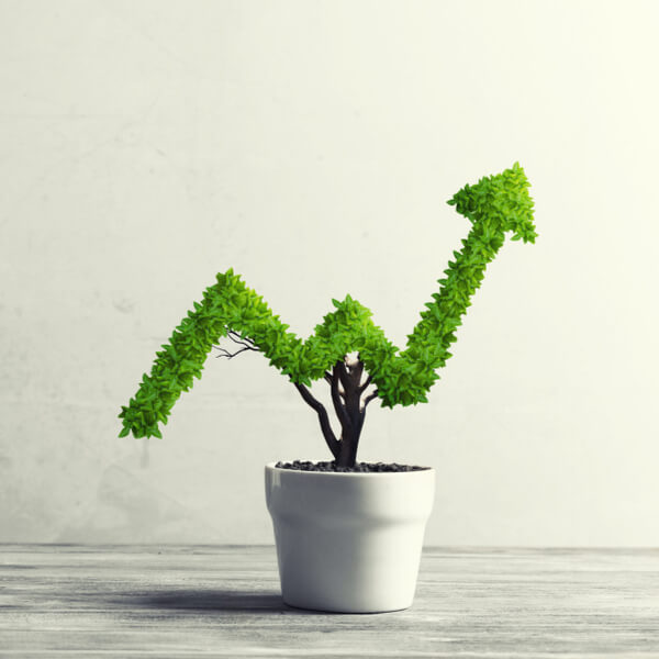 Asesor productos de inversión Asesor productos de inversión