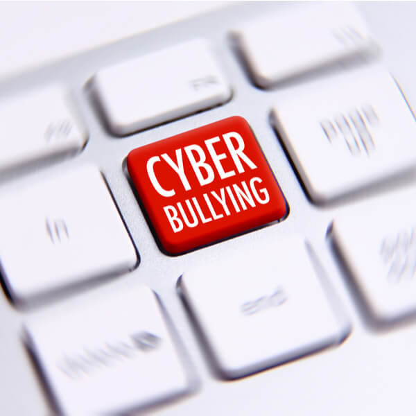 Curso online de Ciberbullyng - Femxa Curso online de Ciberbullyng - Femxa