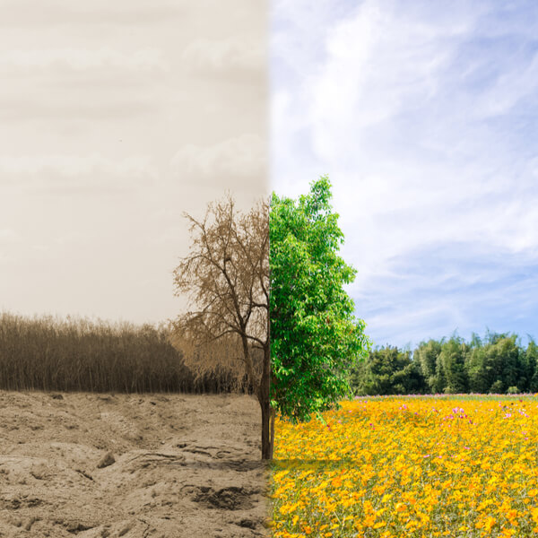 Curso online y gratuito de Evaluación del impacto ambiental - Servef Curso online y gratuito de Evaluación del impacto ambiental - Servef