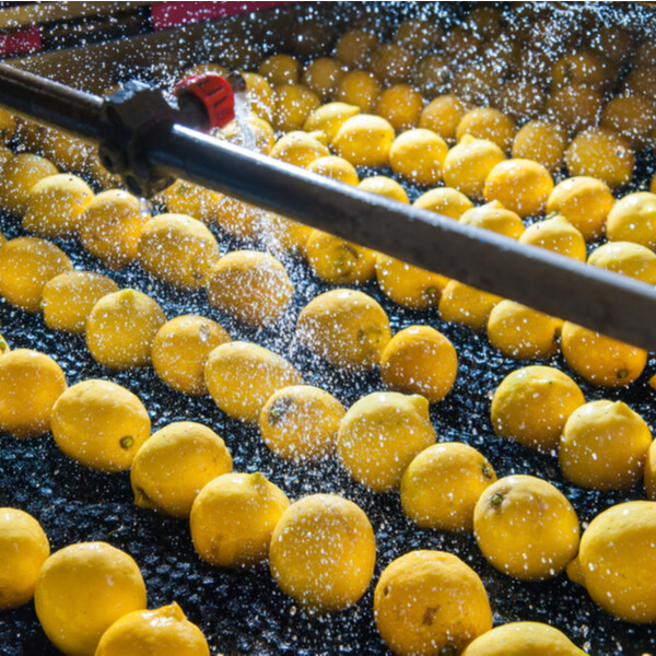 Limpieza y desinfección en la industria alimentaria Limpieza y desinfección en la industria alimentaria