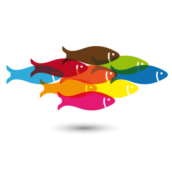 Curso online de Análisis de peligros y puntos de control críticos en pescados y mariscos (APPCC) - Femxa Curso online de Análisis de peligros y puntos de control críticos en pescados y mariscos (APPCC) - Femxa