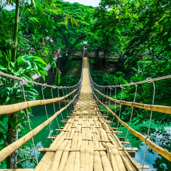 Ecoturismo - Femxa Ecoturismo - Femxa