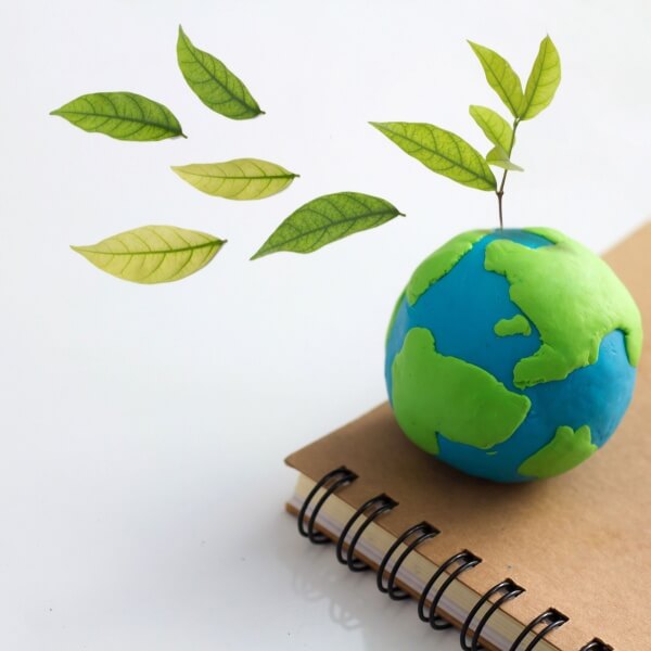 Educación ambiental y ámbitos de aplicación Educación ambiental y ámbitos de aplicación