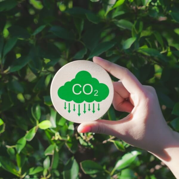 Mantenimiento y conservación de instalaciones frigoríficas de amoniaco y CO2 Mantenimiento y conservación de instalaciones frigoríficas de amoniaco y CO2