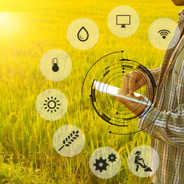 Gestión y organización de la explotación agraria Gestión y organización de la explotación agraria