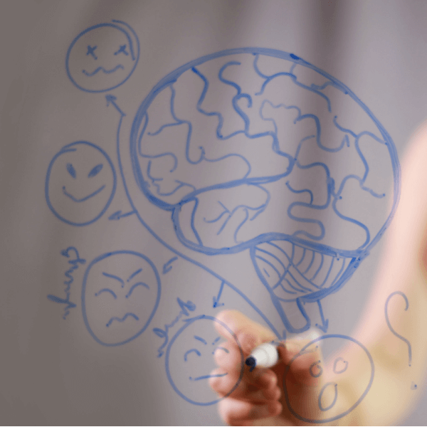 Inteligencia emocional para docentes Inteligencia emocional para docentes