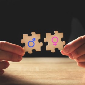 Curso online de agente de igualdad - SOC