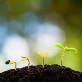 Operaciones generales de jardinería