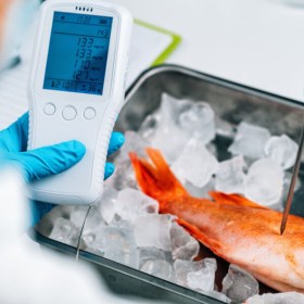 Curso online de APPCC mariscos