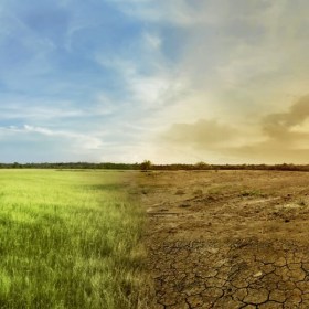 Contaminación de suelos - sector construccion