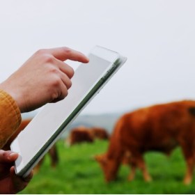 Gestión de crisis alimentarias - Agrario