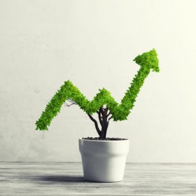 Asesor productos de inversión