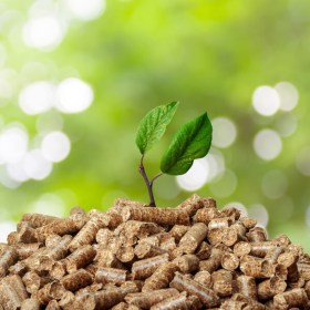 Energías renovables: Especialidad biomasa - Metal