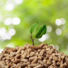 Energías renovables: Especialidad biomasa