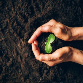 Abonado y fertilización en agricultura ecológica - Agricultura