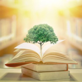 Educación ambiental y ámbitos de aplicación