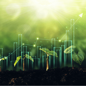 Curso online de Evaluación del impacto ambiental