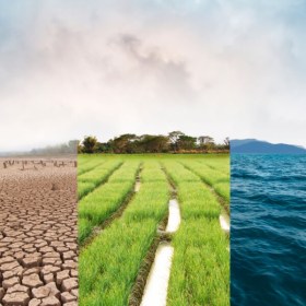 Curso online de Evaluación del impacto ambiental