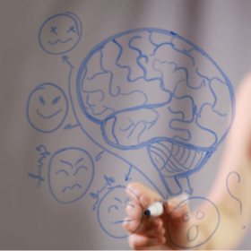 Inteligencia emocional para docentes