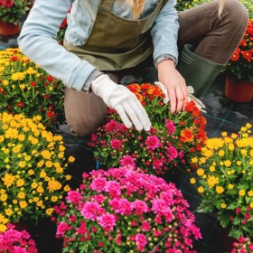 Operaciones generales de jardinería