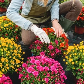 Curso online Operaciones generales de jardinería