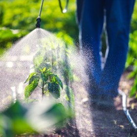 Medios y productos para el control de plagas - Agricultura