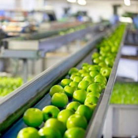 Seguridad e higiene en la industria alimentaria - Agrario